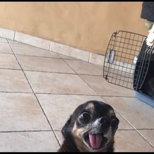 Meet your Posher, Lorén